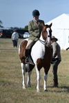 WJ7_2741