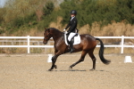 SBM_013463