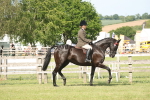 SBM_09528