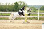 SBM_009127