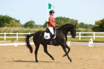 SBM_007015