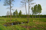 Soomaa National Park, Estonia
