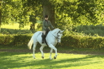 SBM_55564