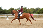 SBM_007651