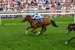 270626-Race 6-Hallo Spaceboy-0421