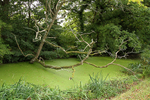 165_IMG_0057