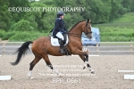 BPP_0661