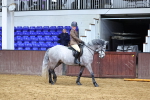 SBM_003584