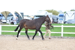 SBM_05691