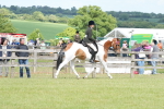 SBM_17604