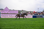 130326-Race 5-Gaelic Warrior-2637