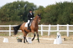 SBM_014775