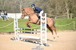 1 British Novice 90cm Open portfolio