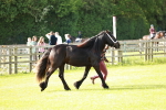 SBM_00691