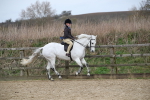 SBM_007201