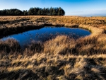 Skye Pond 07 C