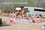 BPP_1684