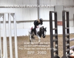 BPP_3980