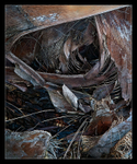 The Abyss