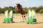 SBM_007701