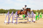 SBM_003603