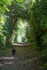 2nd June The Sunlit Path