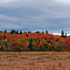 New Brunswick Autumn Foliage