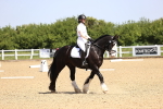 SBM_008243