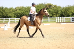 SBM_007804