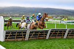 151125-Race 1-One Horse Town-2055