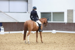 SBM_022331