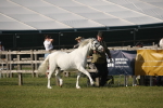 SBM_10338