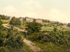 Tunbridge Wells Common 7