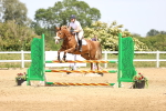 SBM_004386