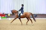 SBM_007245