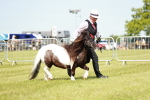 SBM_02453