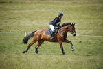 BVHT 140517  IXC -735