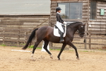 SBM_001993