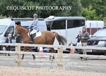 BPP_0498