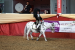 SBM_13395