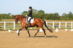 SBM_010565