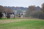 WJ6_9145