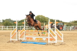 SBM_002804