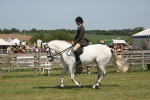 SBM_07618