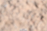 240623A-102605-16514