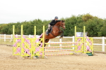 SBM_016006