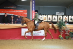 SBM_09705