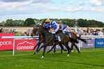 160926-Race 2-Northern Viola-9725