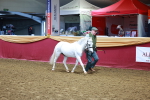 SBM_15982