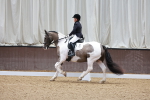 SBM_006313